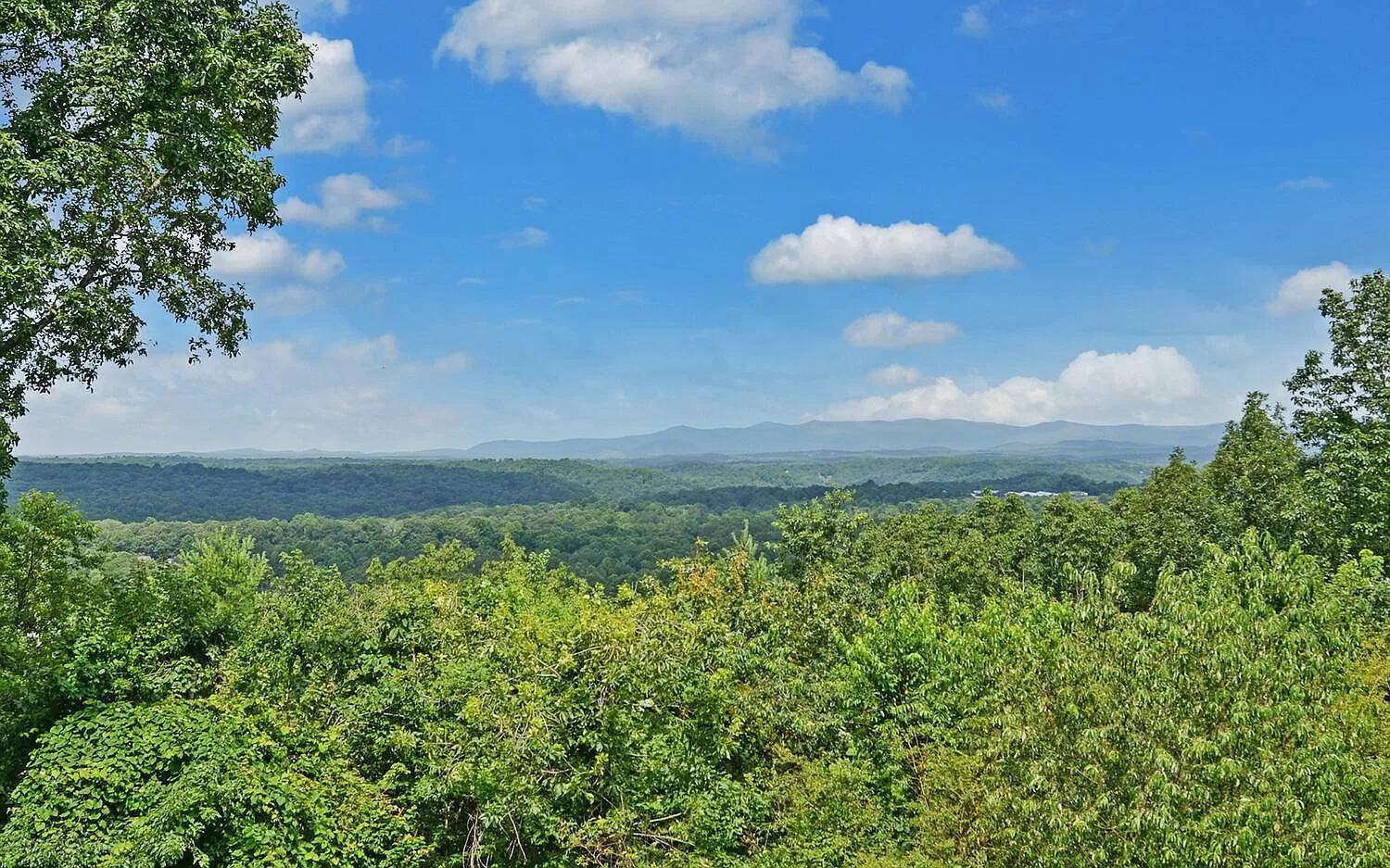 Birds Eye Cabin - Sunset & Starry Retreat Pet Friendly W Private Hottub, Fire Pit And Game Room إليجاي المظهر الخارجي الصورة